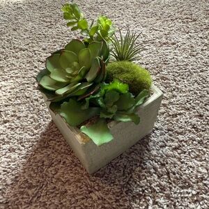 Green Succulent Arrangement in White Planter